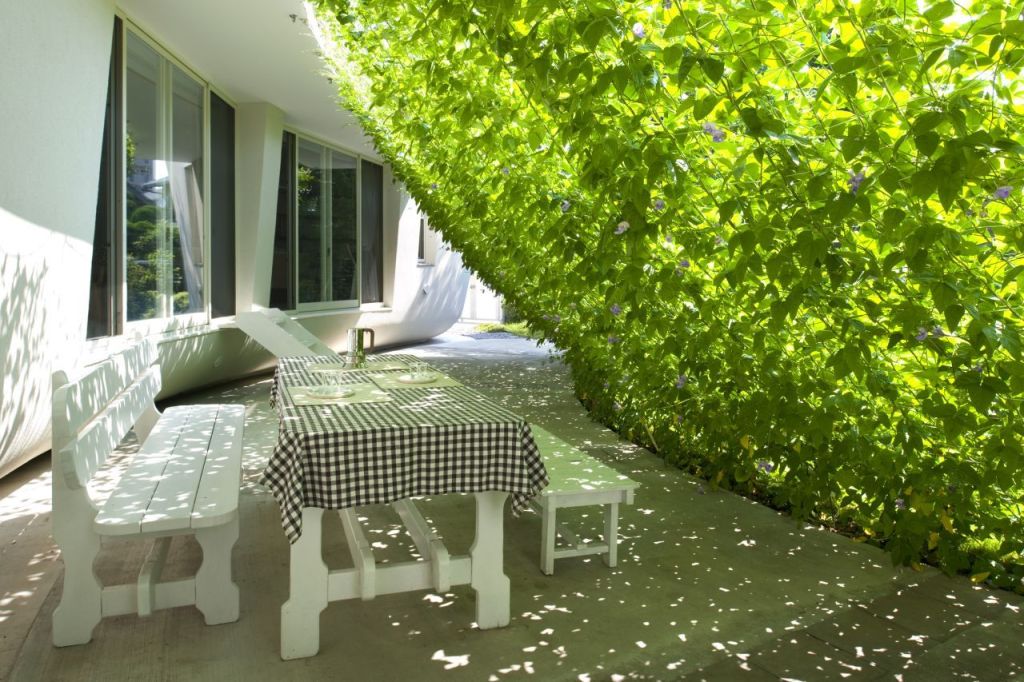 Tấm màn xanh đáng yêu-nhà ở hiện đại trẻ trung ở Nhật&nbsp;Bản