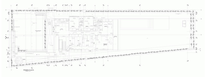 casuarina281113-(17)