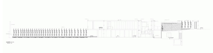 casuarina281113-(22)