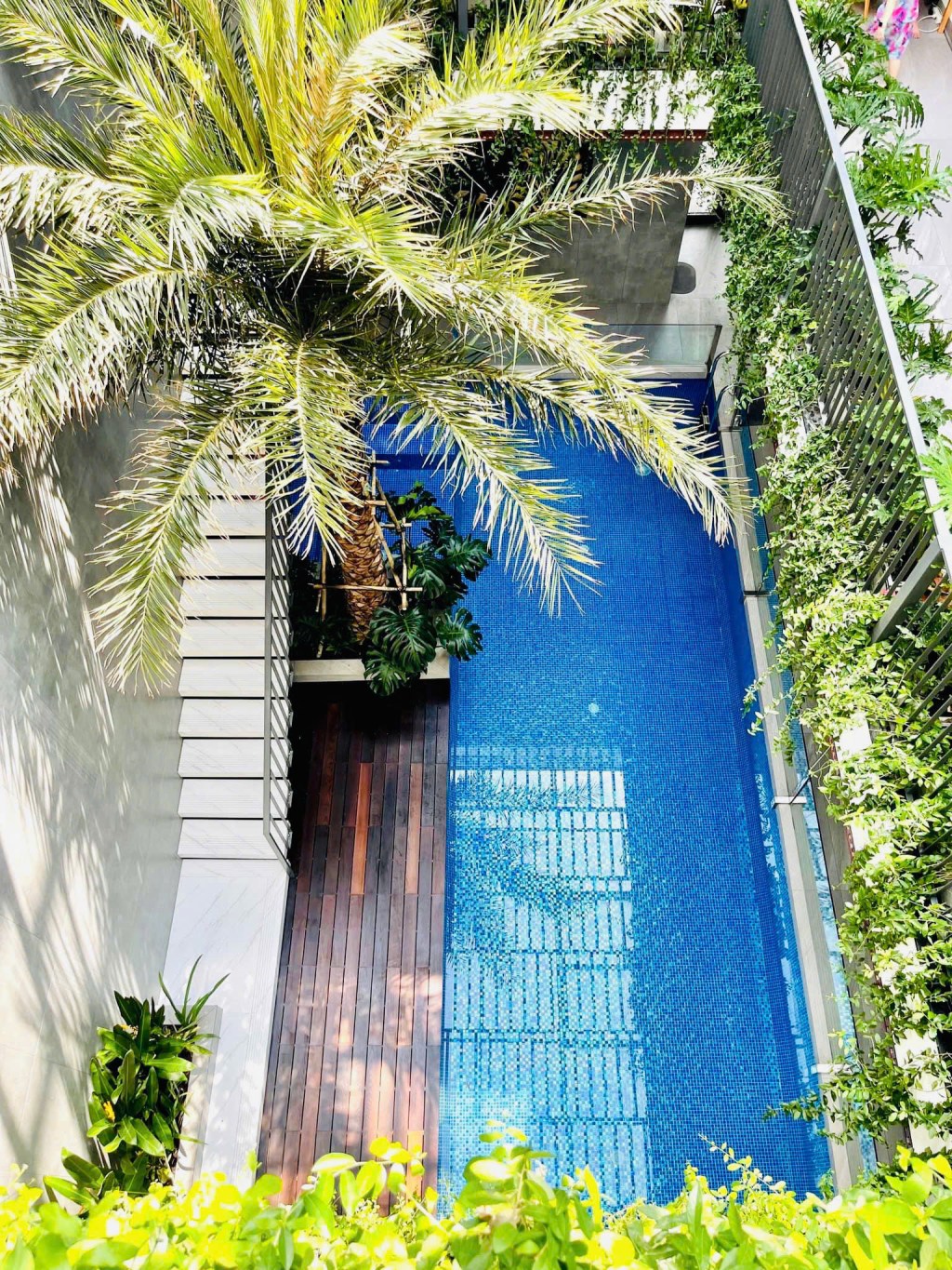 Hồ bơi trong Nhà Phố : Không Gian Sống đẳng cấp